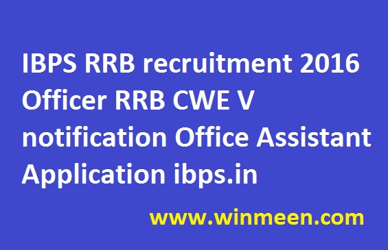 ibps-rrb-recruitment-2016-officer-rrb-cwe-v-notification-office-assistant-application-ibps-in
