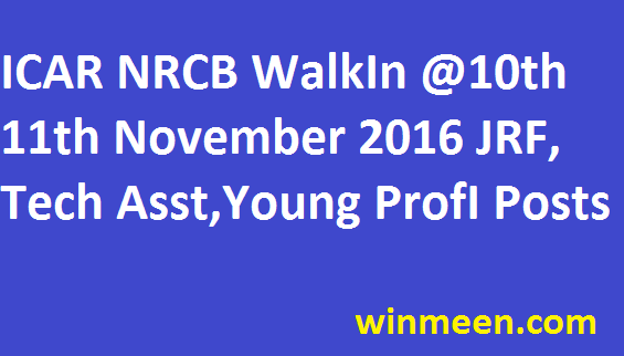 ICAR NRCB Trichy Jobs JRF Tech Asst and Young Professional Post through Walk In Interview 