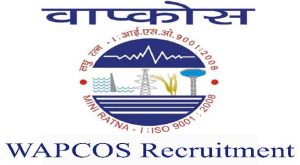 WAPCOS Recruitment WAPCOS Recruitment