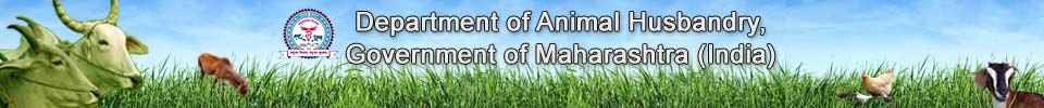 AHD Maharashtra Recruitment