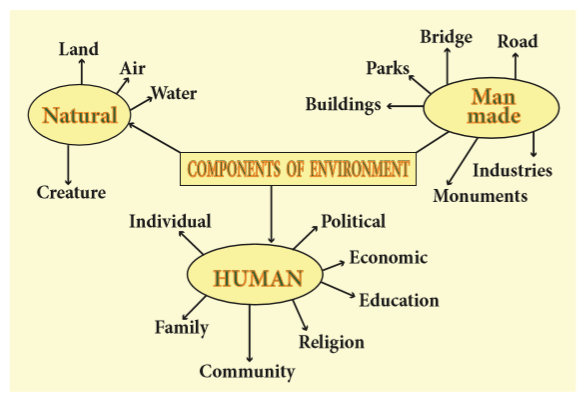 Man And Environment Notes 9th Social Science - WINMEEN