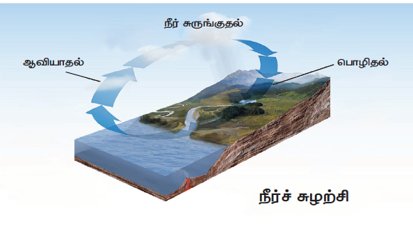 நீர்க்கோளம் Notes 9th Social Science - WINMEEN