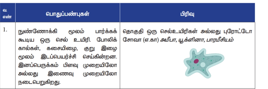 7th-std-science-lesson-wise-questions-in-tamil-part-2-winmeen