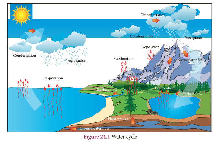 Environmental Science Notes 9th Science Lesson 20 Notes In English 